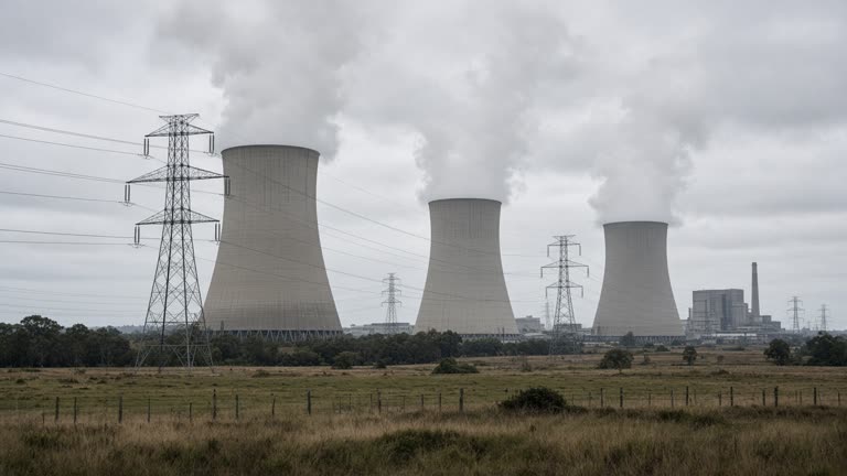 Brown-coal power station cooling towers and steam plumes in flat Latrobe Valley light, high-voltage lines crossing foreground paddocks, overcast sky, no logos or readable text