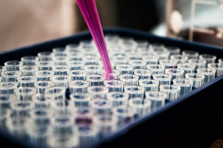 Microscope view of genetic sequencing data