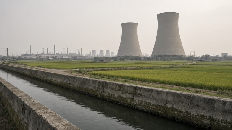 Industrial cooling towers beside green rice fields under hazy afternoon light, concrete irrigation channel in foreground, distant factory silhouettes, no logos or readable text