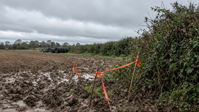Survey stakes and orange tape along a muddy field edge beside a hedgerow in the English Midlands, overcast sky, rolled farm tyres in background, no readable text or logos
