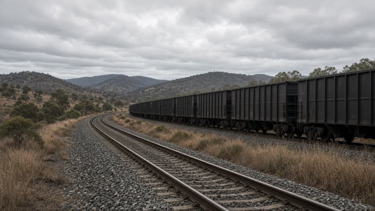 Long empty coal train on double track cutting through dry Hunter Valley scrub under grey sky, distant hills, ballast and sleepers in foreground, no logos or readable text on locomotives