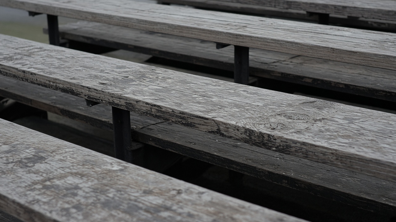 Empty scuffed wooden bleacher plank in overcast daylight, no people, no logos, no readable text