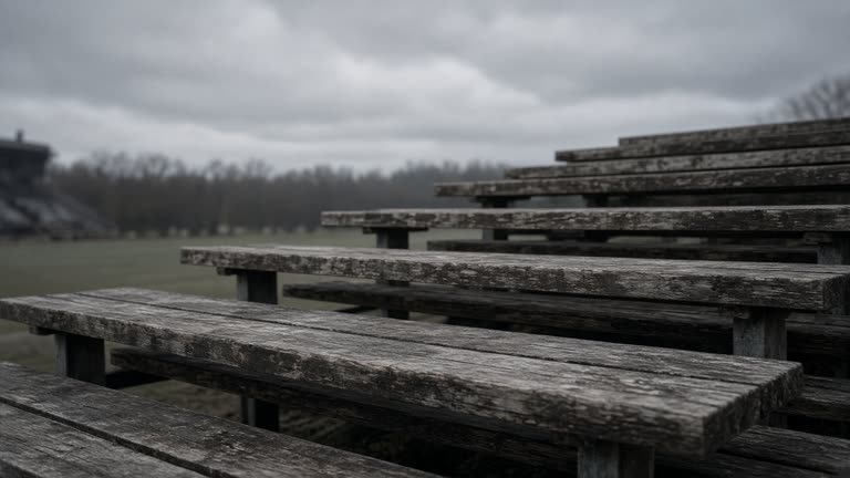 Empty weathered wooden bleacher row, gray overcast sky, no people, no logos, no readable text
