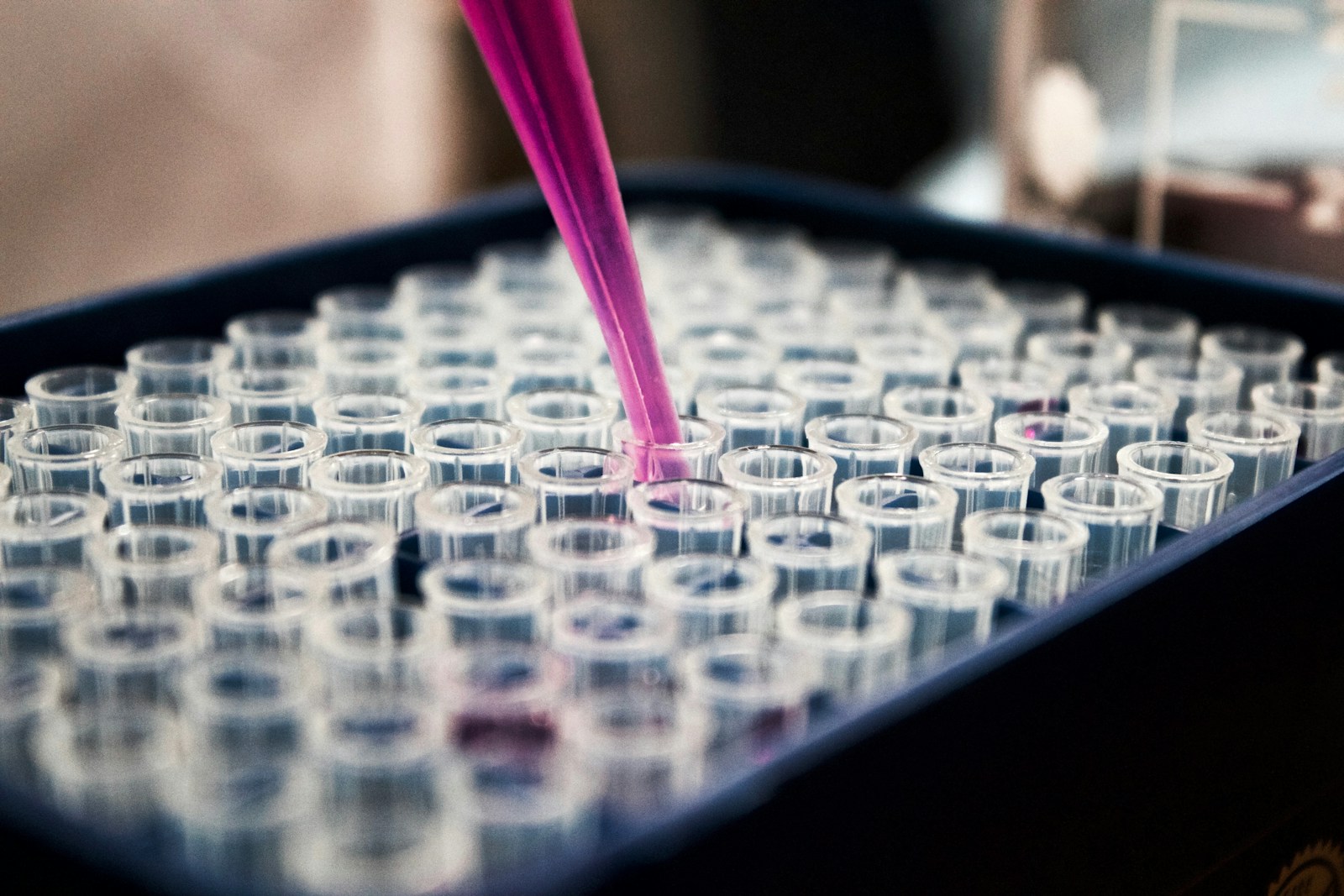 Microscope view of genetic sequencing data