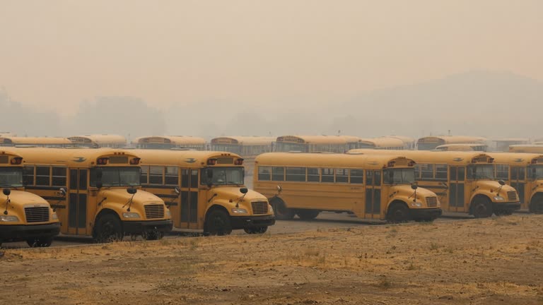 Yellow school buses parked in a hazy Central Valley lot with distant hills obscured by wildfire smoke, flat afternoon light, dry grass, no logos or readable text