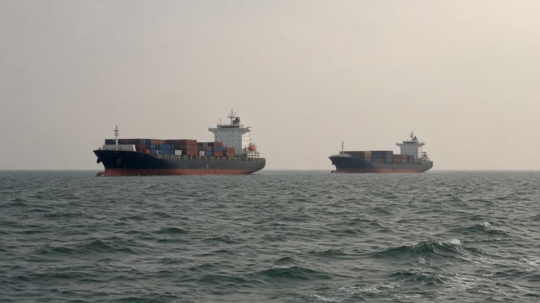 Hazy afternoon in the Singapore Strait, two commercial ships in a traffic lane seen from a distance, choppy water, no vessel names or readable markings.