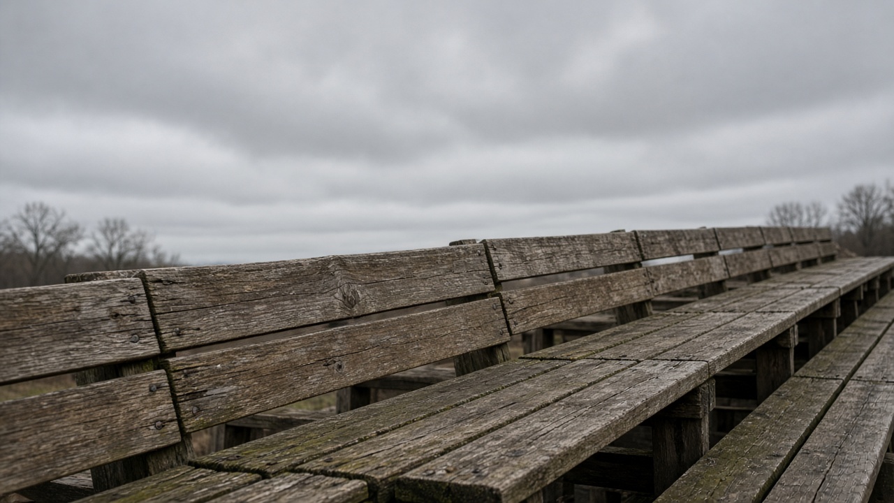 Empty scuffed wooden bleacher plank in overcast daylight, no people, no logos, no readable text