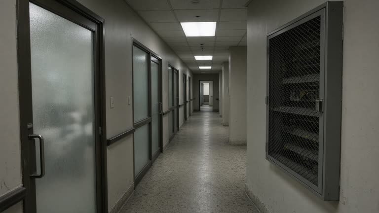 Government office corridor with frosted glass doors and a wall-mounted network rack behind locked mesh, cool fluorescent lighting, documentary wire photo, no logos or readable text