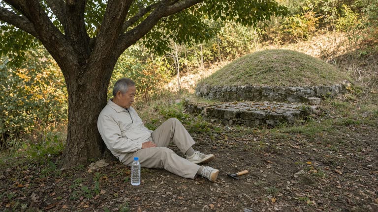 Photorealistic scene of an older adult in light clothing resting in the shade of a tree at a hillside ancestral grave site in South Korea on a warm late-September afternoon, with a water bottle and a small clearing tool nearby, no logos or readable text.