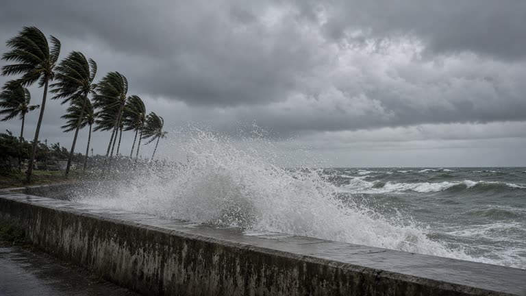 Waves crashing over a seawall on Okinawa’s east coast under dark typhoon clouds, with palm trees bent by wind