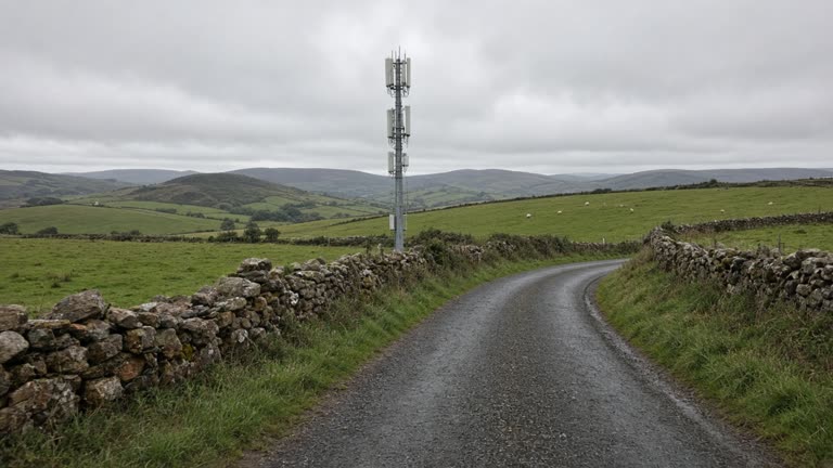 Rural Devon lane with a slim telecom mast on a grassy verge beside dry stone walls, overcast Atlantic light, wet tarmac and sheep pasture beyond, no logos or readable text on equipment