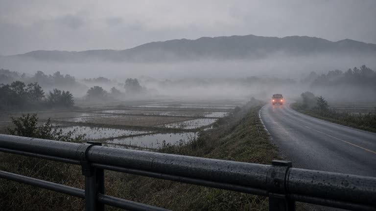Photoreal early-morning scene of dense ground fog pooled in a Korean rice-farming valley at first light, wet two-lane road curving between mist-covered paddies, faint tail lights of a distant bus, hazy ridge line behind, damp guardrail in the foreground, 50mm lens at f/2.8, natural dawn light, no logos or readable text.