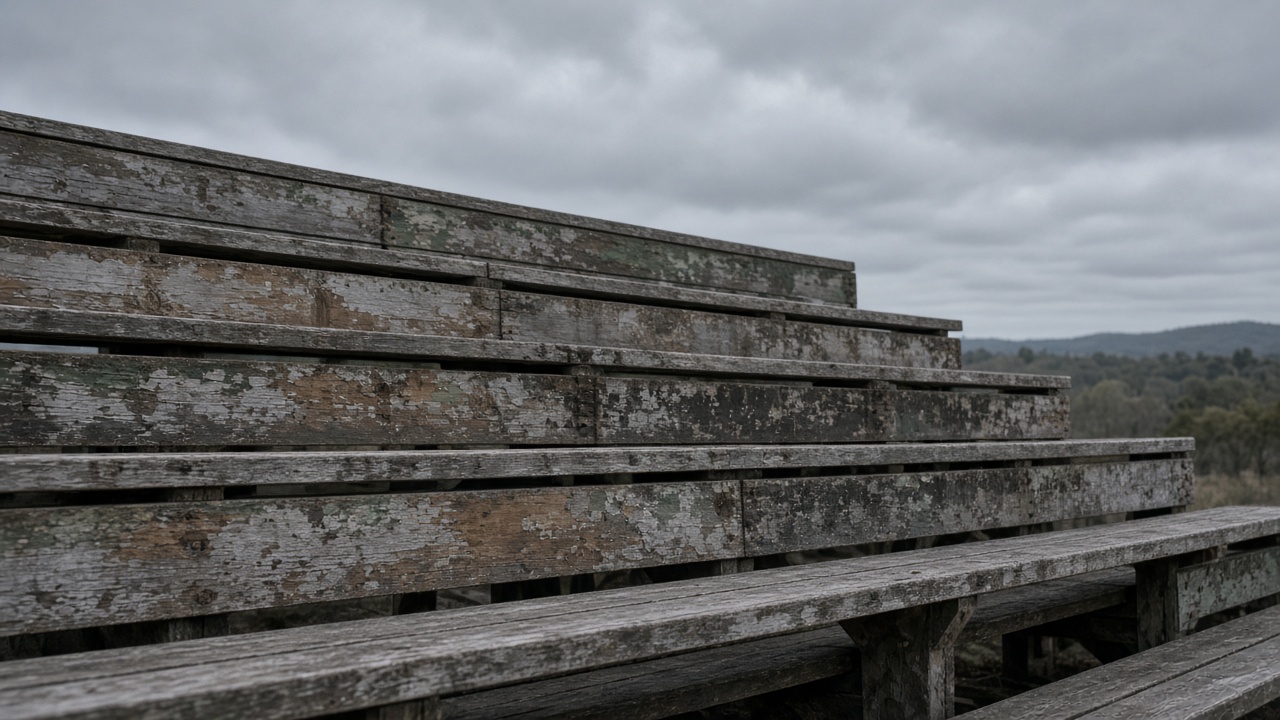 Empty scuffed wooden bleacher plank in overcast daylight, no people, no logos, no readable text