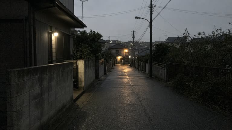 Pre-dawn street in Chiba Prefecture with porch lights on after residents felt intensity-4 earthquake shaking
