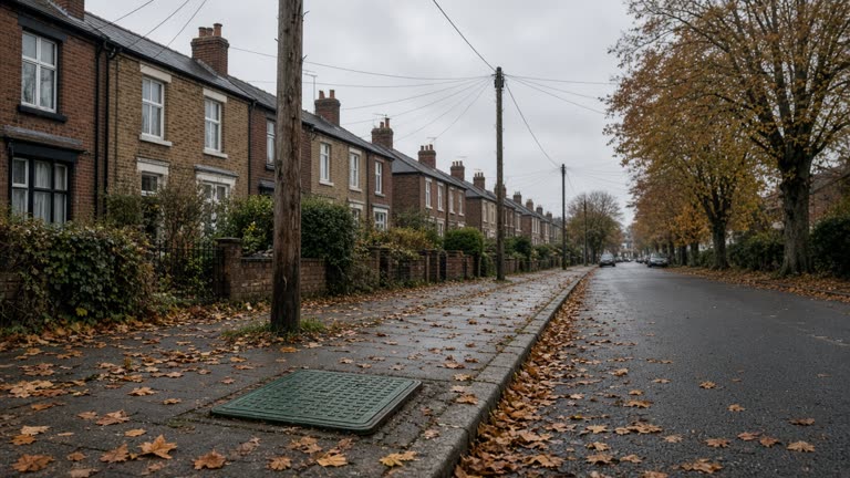 Residential street with telegraph poles and underground fibre hatch on pavement, autumn leaves, no brand marks