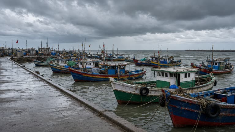 Coastal Tamil Nadu fishing harbour with moored boats and dark monsoon clouds offshore, wet concrete pier, no people facing camera