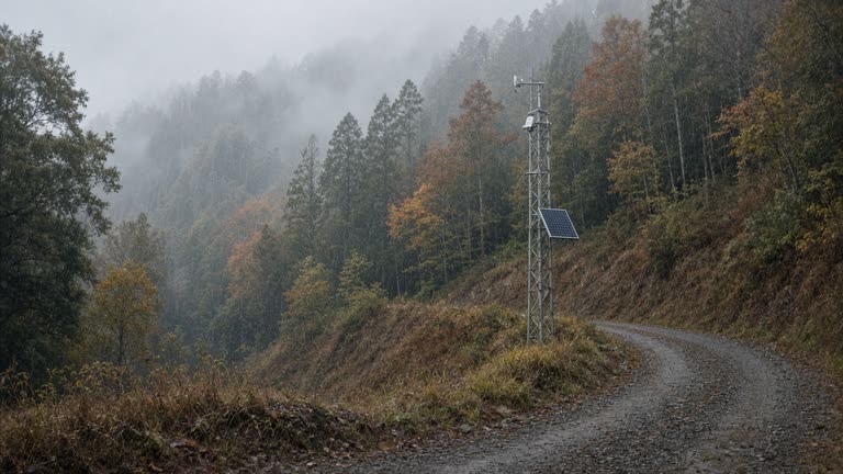 A forested Niigata hillside with a metal monitoring mast and solar panel, misty autumn rain, gravel access road, no logos or readable text