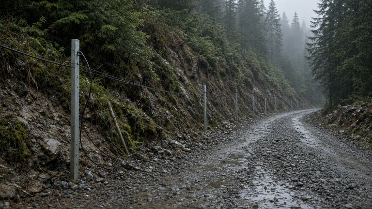 Rain-soaked forest slope with metal monitoring stakes and cables along a gravel service road, overcast light, no logos or readable text