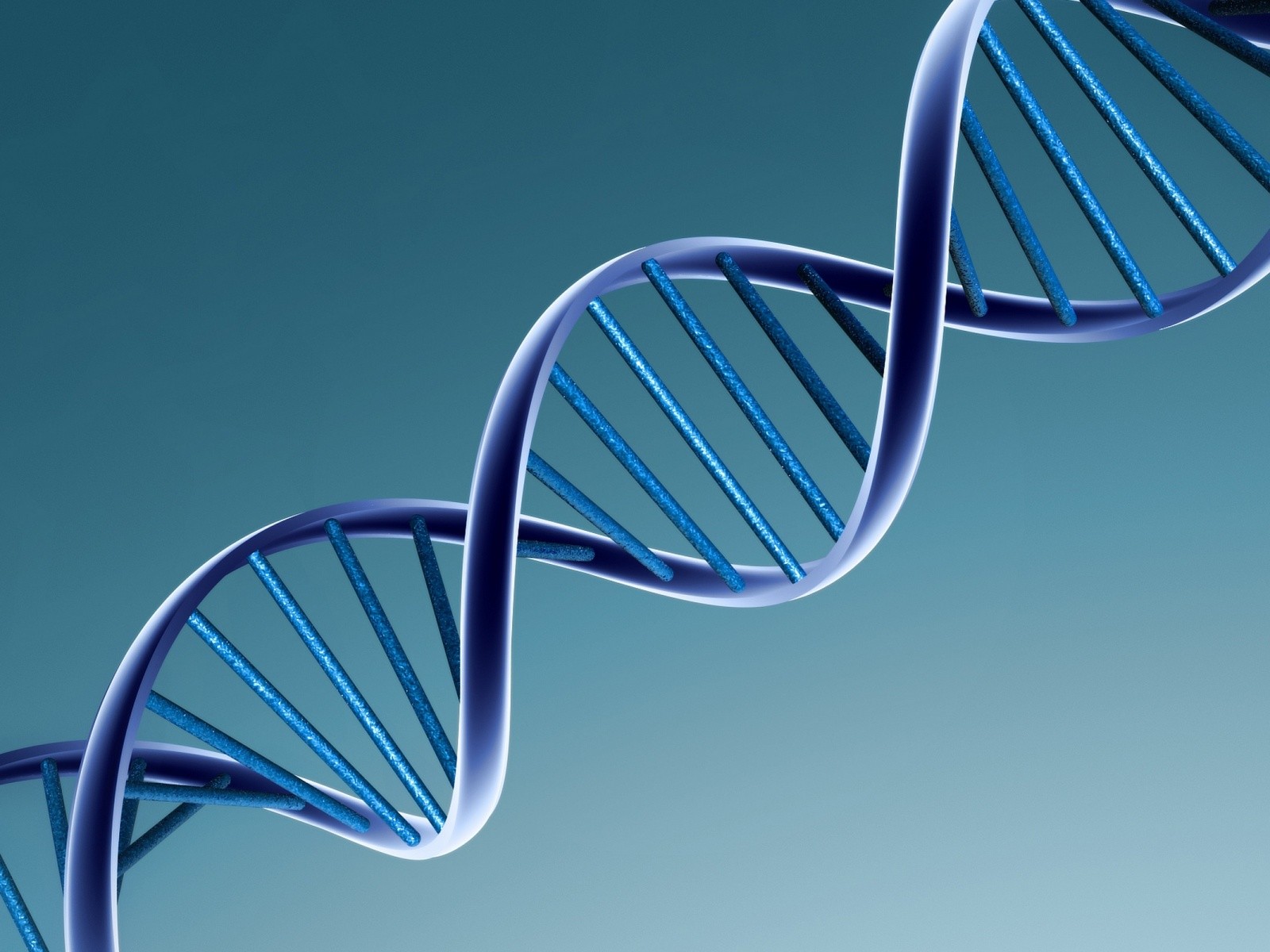 The Power of DNA: Unlocking the Secrets of Life